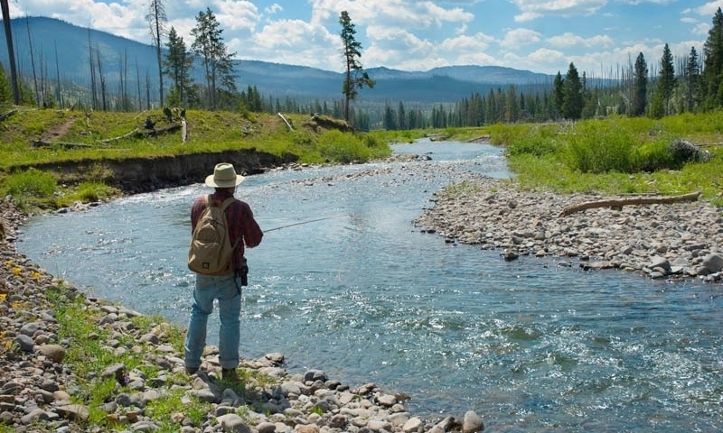 Hellroaring Creek fishing