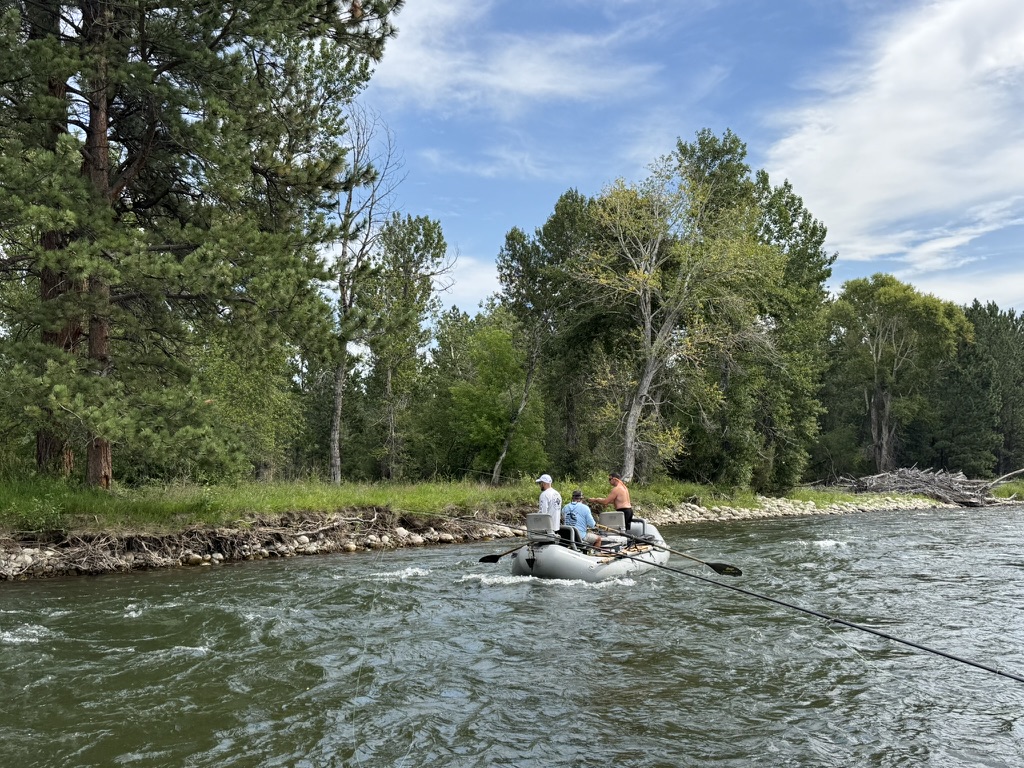 Catch and release streamside
