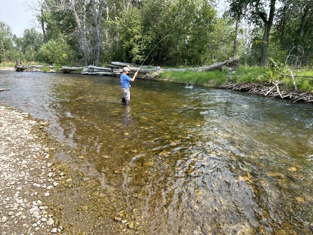 Angler wading in a clear Montana spring creek