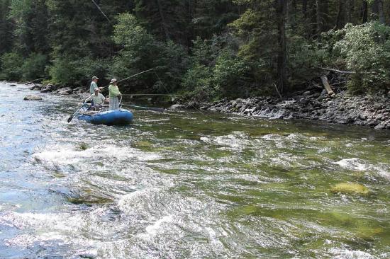 Montana angler fly fishing
