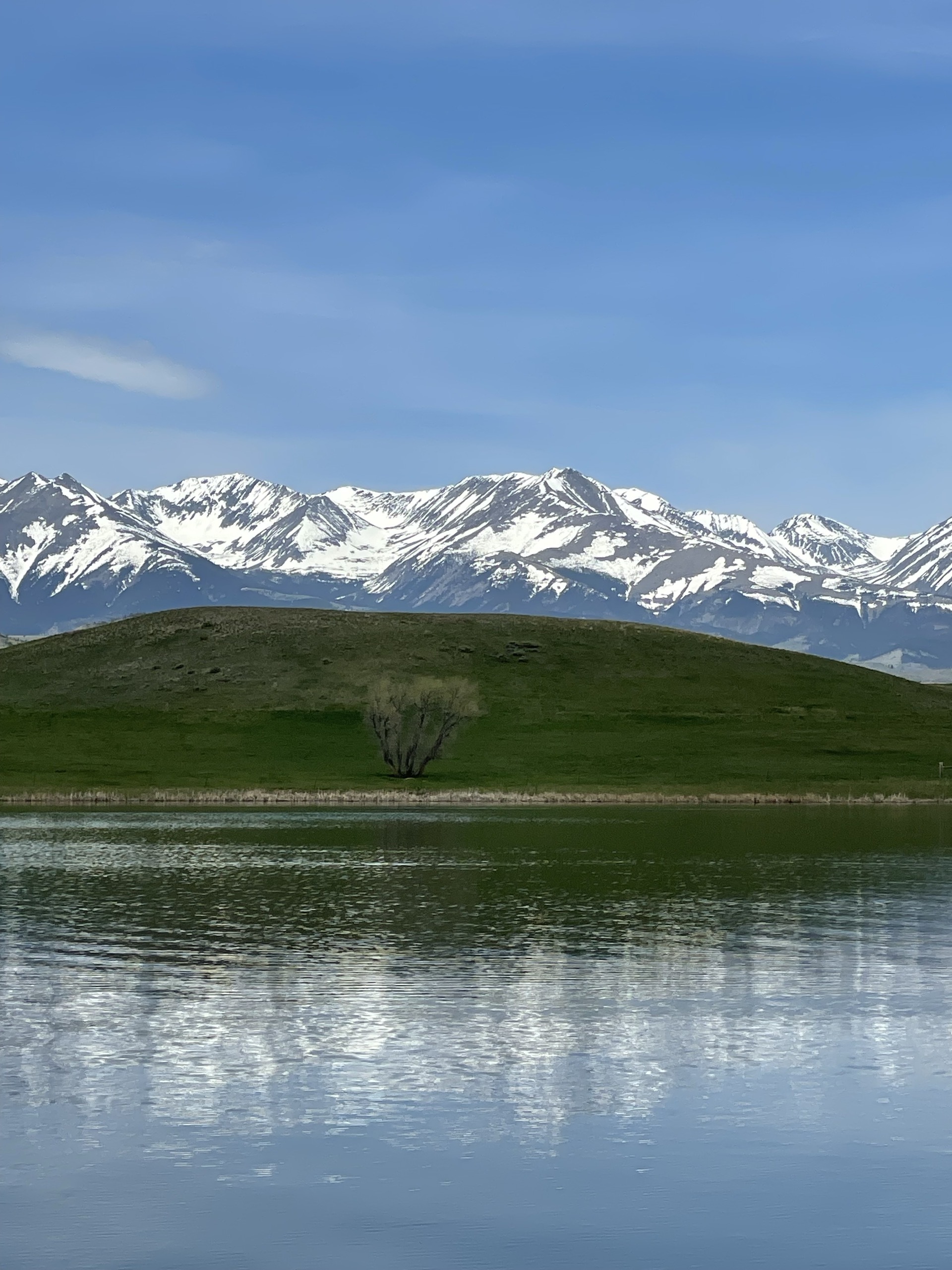 Absaroka Mountains with spring snow and green meadows