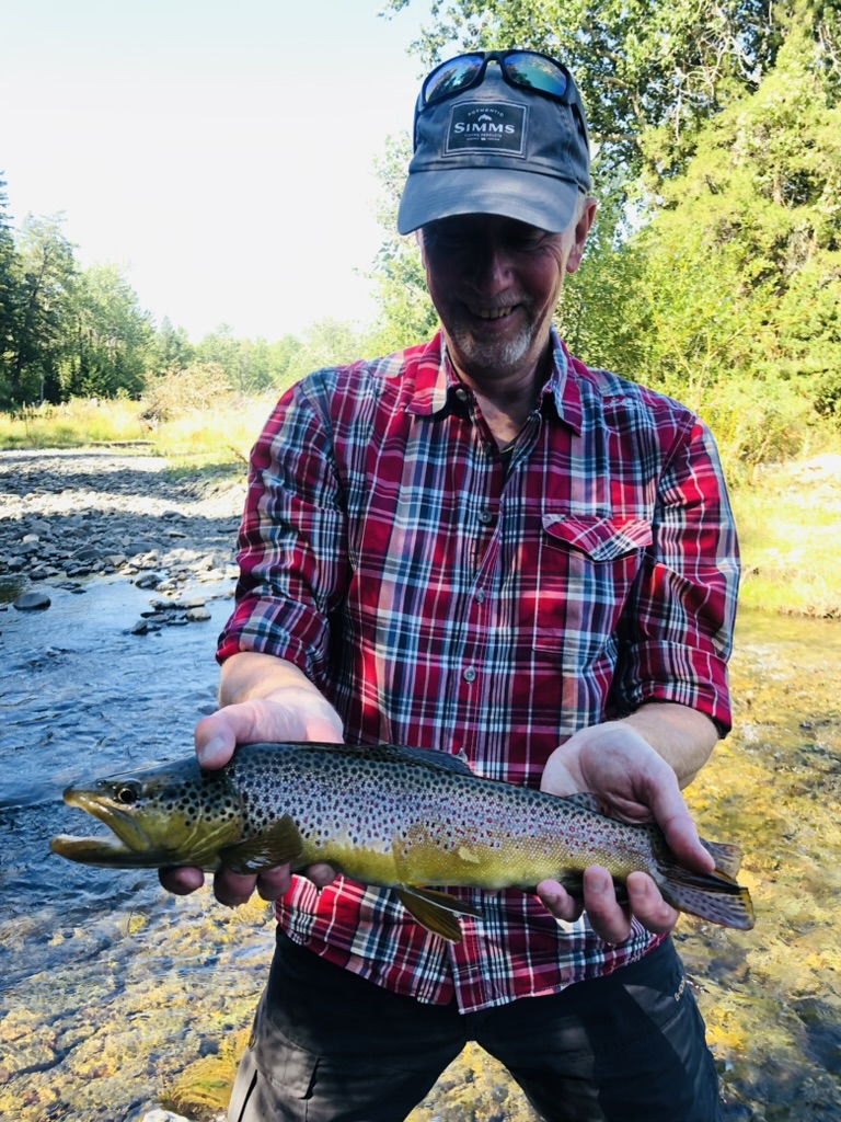 Spring creek brown trout (brownie)