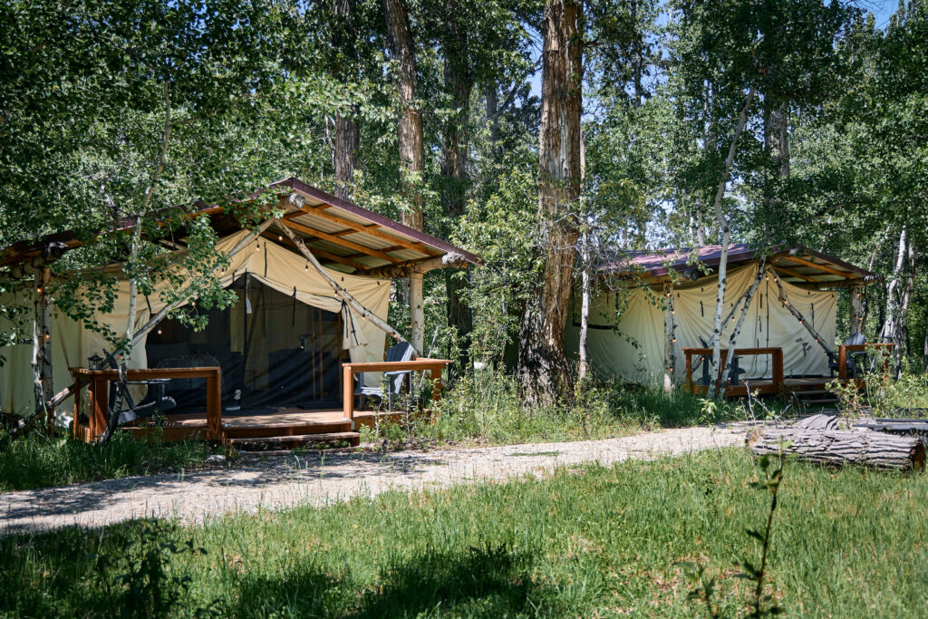 Two canvas wall tent accommodations sit among tall trees, connected by a gravel path through the forest.